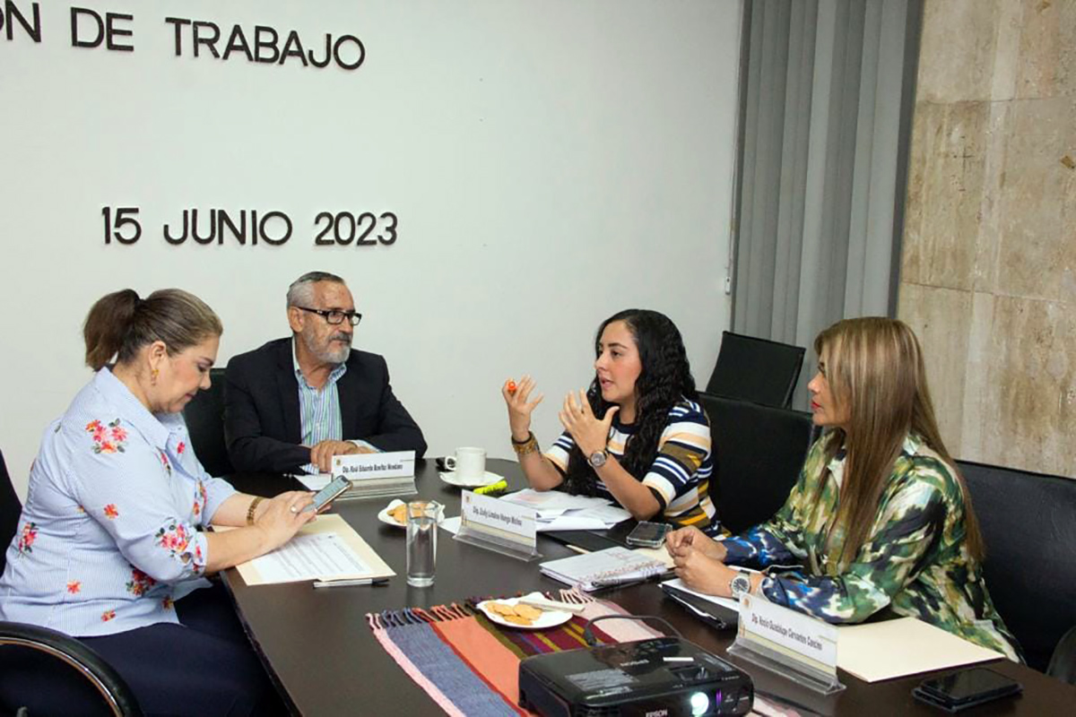 Analizan Comisiones Reformas Constitucionales En Materia De Maltrato Y